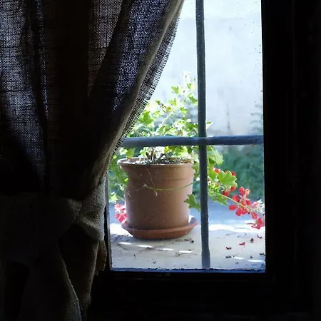 A Casa Di Irma Foglizzo